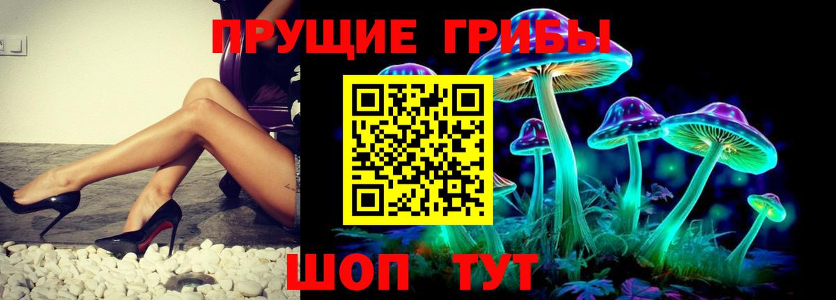 Красногорск  где найти наркотики  Вход с VPN  Галлюциногенные грибы Magic Shrooms 