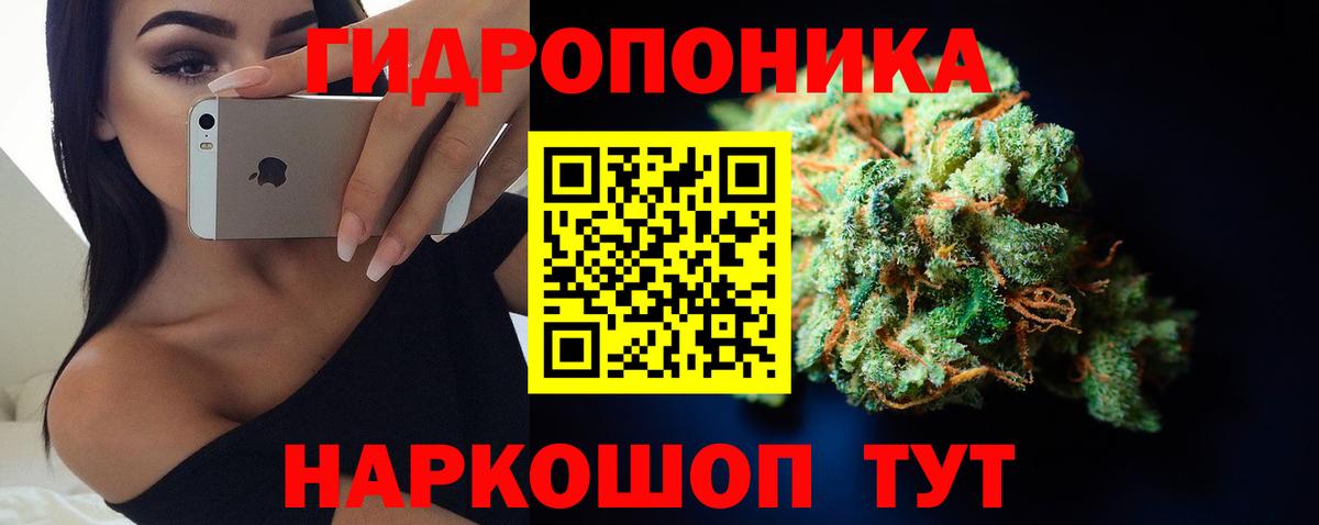 Бошки Шишки White Widow  Каннабис ГИДРОПОН  Красногорск  Канабис гибрид  Бошки марихуана SATIVA & INDICA  Вход с VPN 